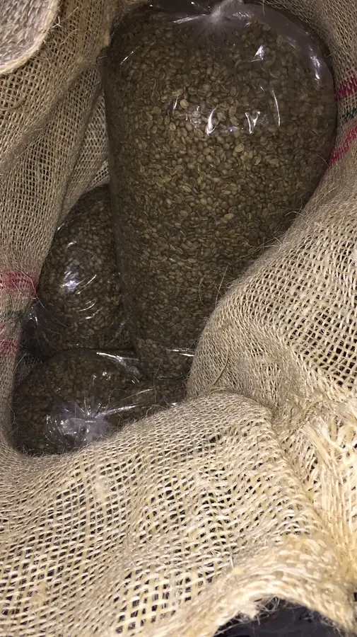 Café verde en costales de origen